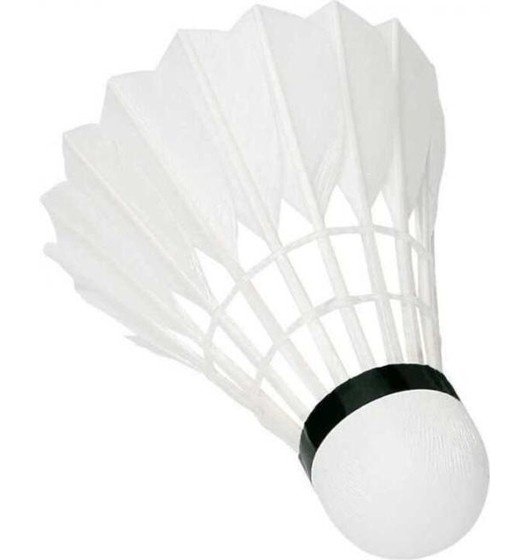 12 balles Badminton Badminton Sport Raquettes Summer Beach Tube en plastique